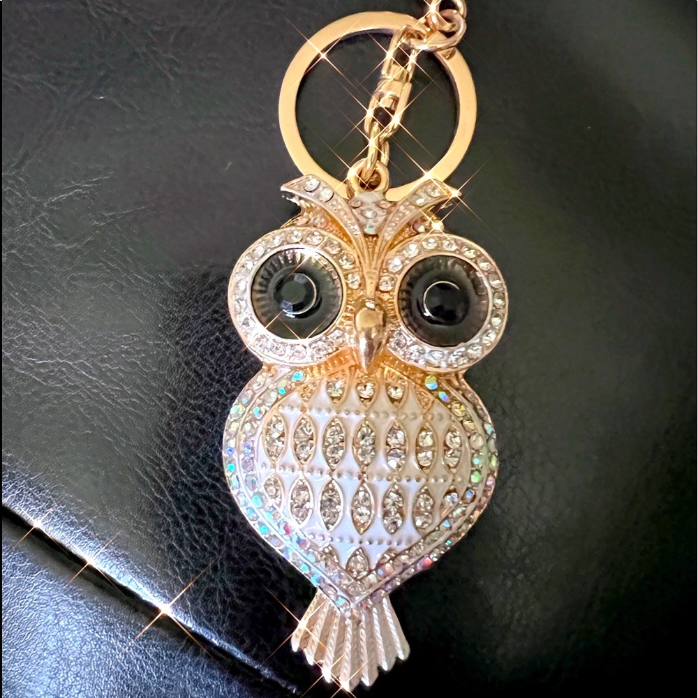 Gold Owl Keychain for women